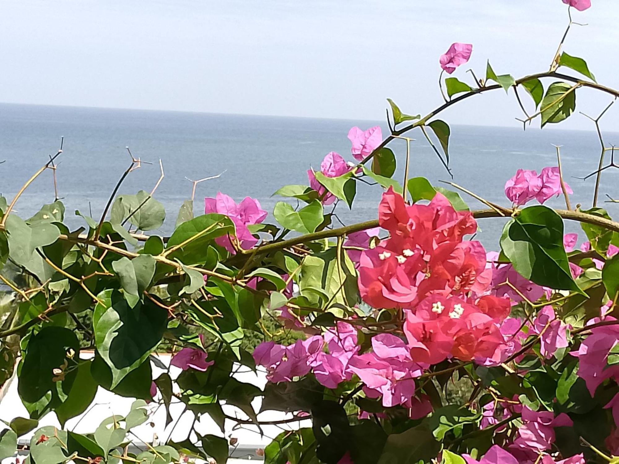 Colibri Lodge أمباتولواكا المظهر الخارجي الصورة